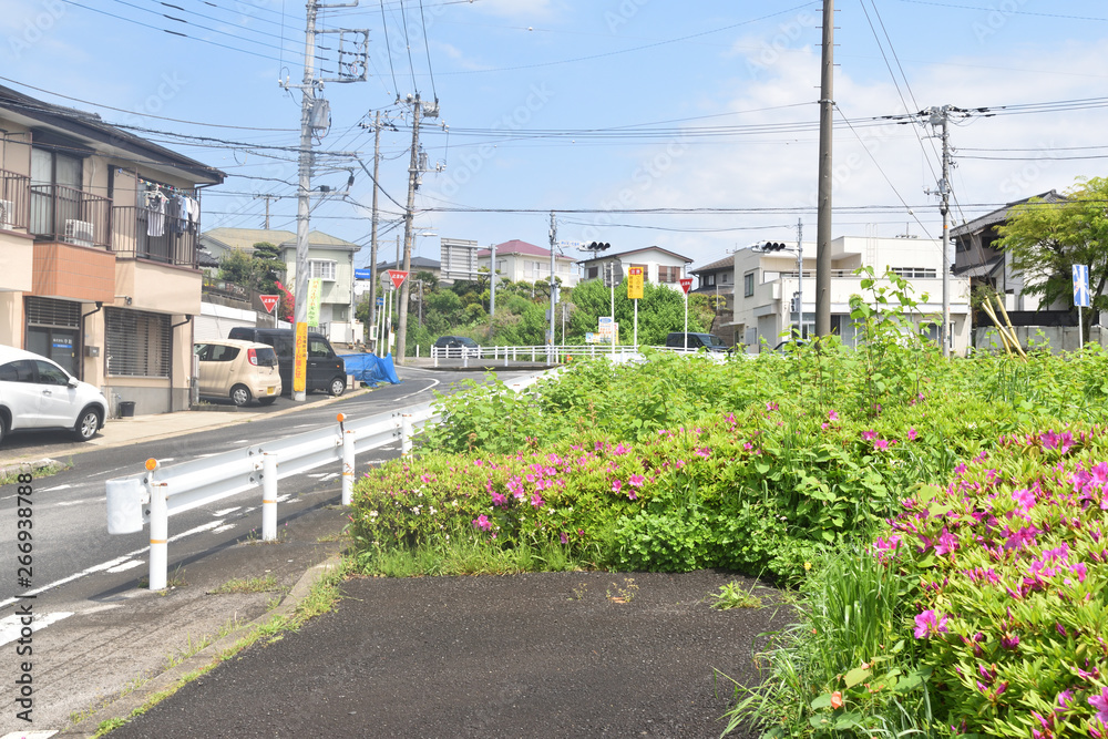 道路 道路