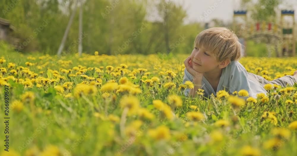 Happy caucasian little child is lying on a spring meadow and looking away. Happy 7 years old boy lies on a field with daisies, closeup view. Smiling face of a blond hair boy, on meadow. Slow motion Happy caucasian little child is lying on a spring meadow and looking away. Happy 7 years old boy lies on a field with daisies, closeup view. Smiling face of a blond hair boy, on meadow. Slow motion