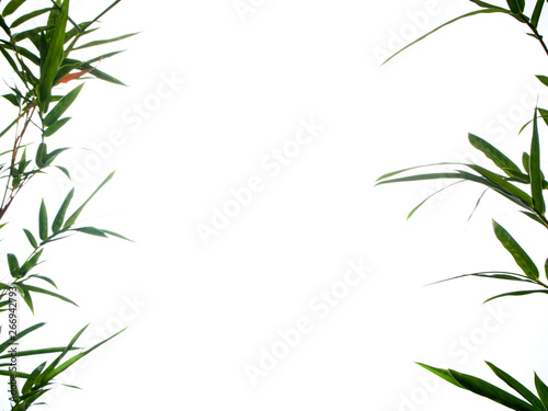 Asian natural background with bamboo