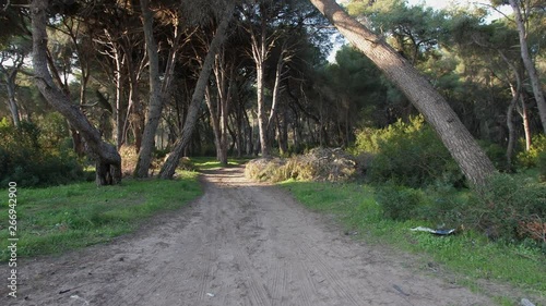 Walking on a path in Strofilia forest in the northwestern part of the Peloponnese Greece. photo