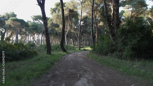 Walking on a path in Strofilia forest in the northwestern part of the Peloponnese Greece. photo
