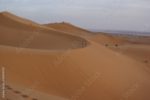 Dunes and sand in the desert