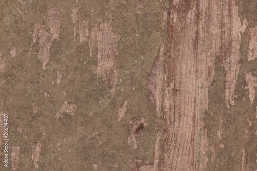 Wallpaper Mural old vintage grunge fisher boat barn tree wood structure texture background Torontodigital.ca