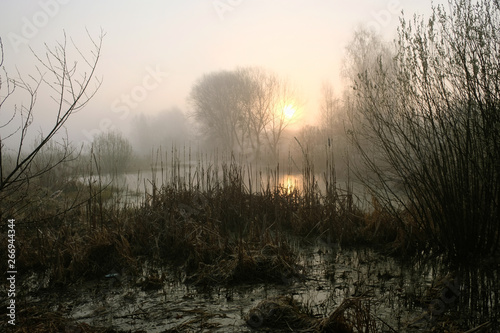 Misty morning on the river. Dawn
