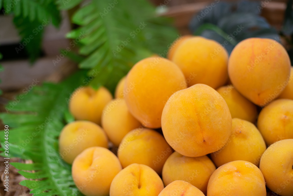 Japanese apricot, Juicy ripe organic peach fruits Japanese apricot, Juicy ripe organic peach fruits