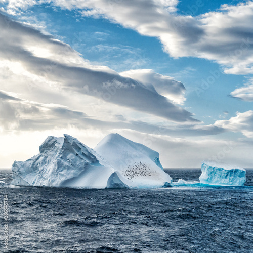 Iceberg in Antarctica sea