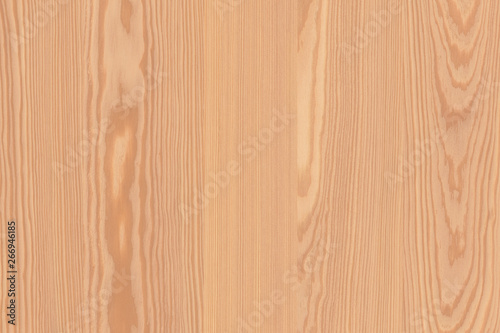 pine tree timber wood wallpaper surface texture background veneer