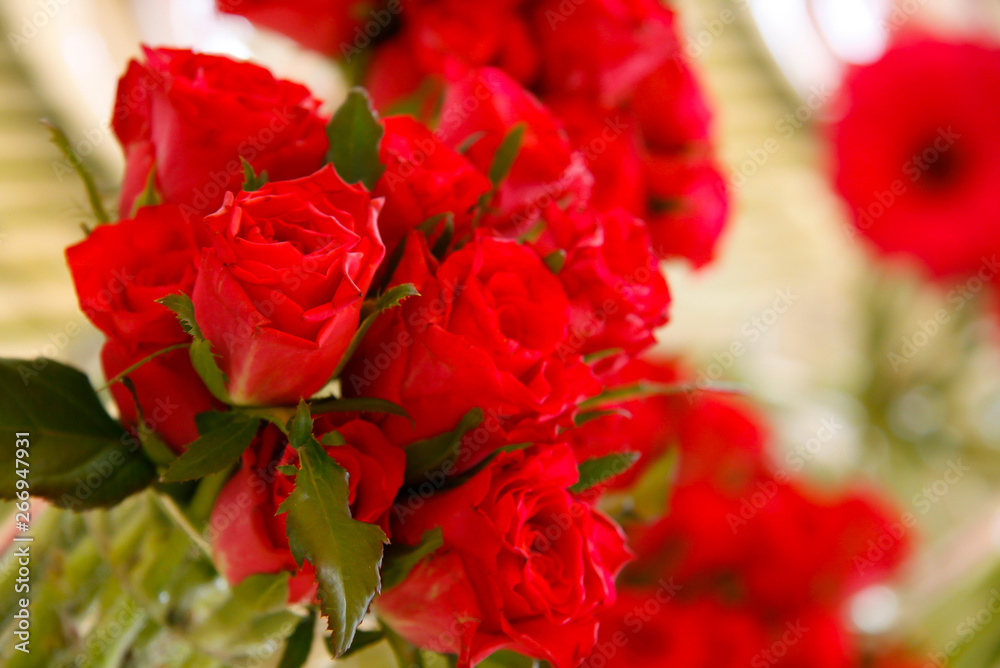 bouquet of red roses