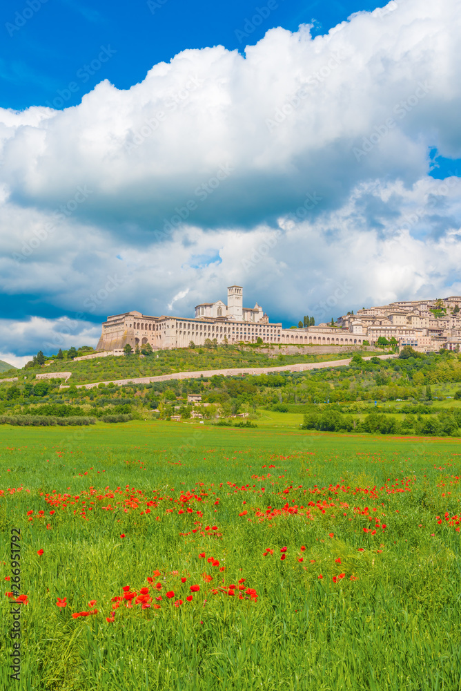Assisi, Umbria (Italy) - The awesome medieval stone town in Umbria region, with the famous Saint Francis sanctuary.  