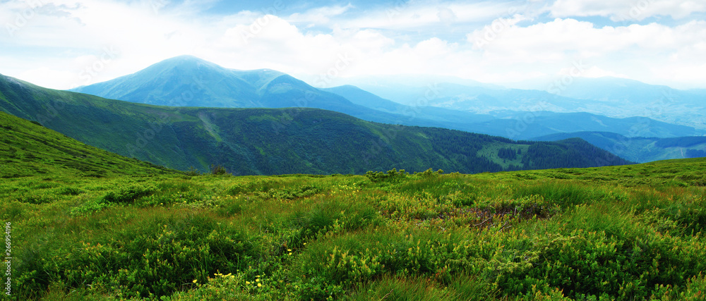Obraz premium Mountain landscape in summer