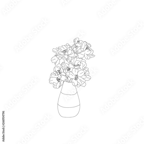 Cherry blossom on vase drawing
