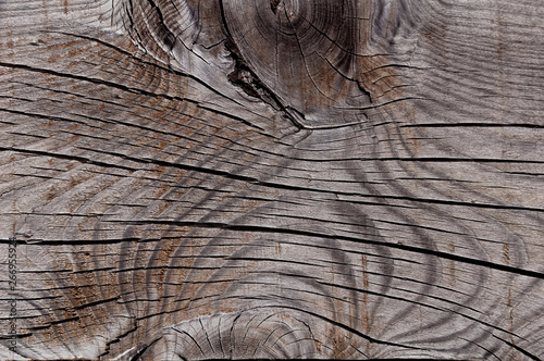 Texture photo of grey, worn, shabby, old and cracked wood which was exposed to weather and sun for years and which shows knots and growth rings. Ideal as a background