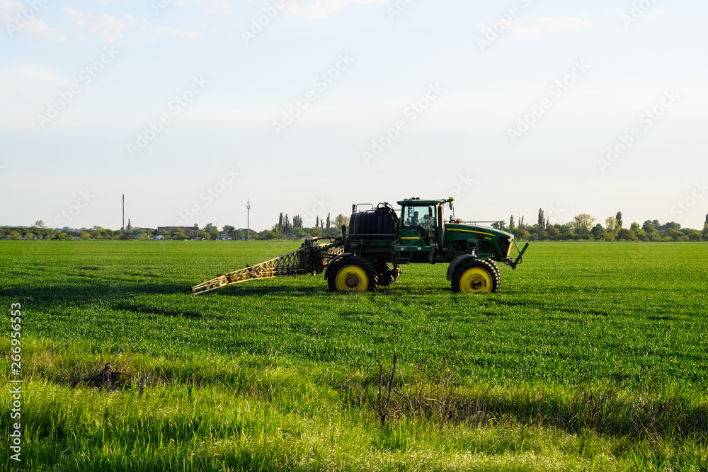 Obraz premium tractor with the help of a sprayer sprays liquid fertilizers on young wheat in the field.