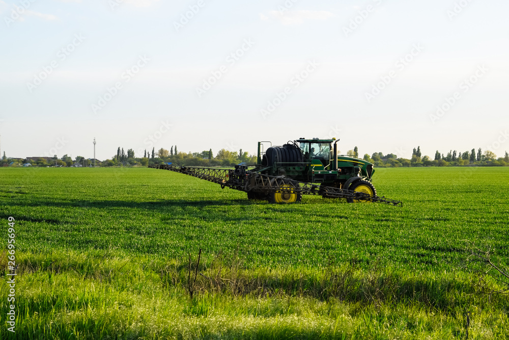 Fototapeta premium tractor with the help of a sprayer sprays liquid fertilizers on young wheat in the field.