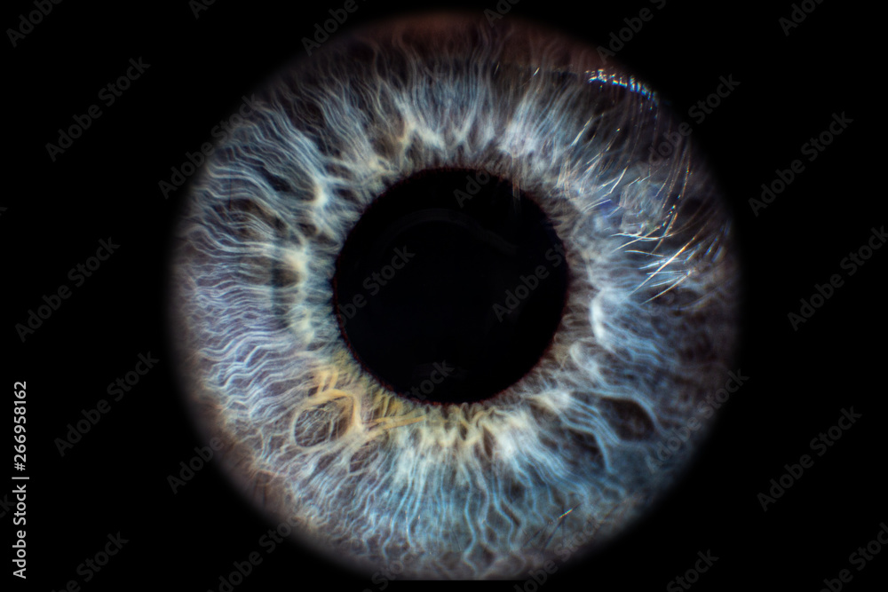 Iris Auge blau vor schwarzem Hintergrund Iris Auge blau vor schwarzem Hintergrund