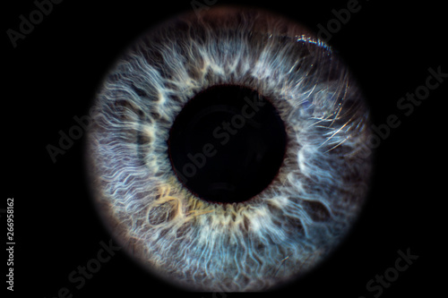 Fotografie, Obraz Iris Auge blau vor schwarzem Hintergrund