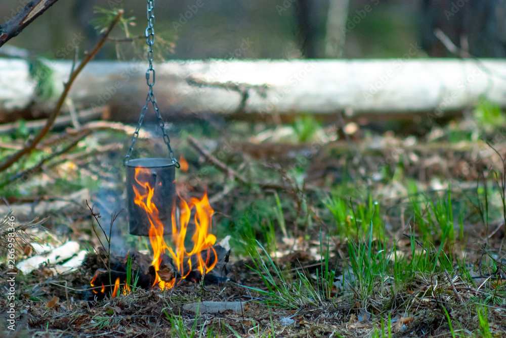 Bonfire while camping in the woods. Cooking in a pot on a fire. Bonfire while camping in the woods. Cooking in a pot on a fire.