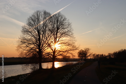 Silhouettes of trees at sunset sky