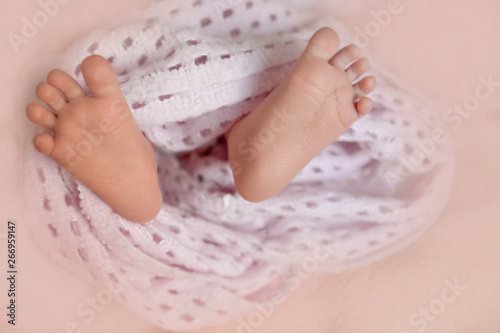 gentle baby's bare feet wrapped in a pink knitted scarf on a pink background