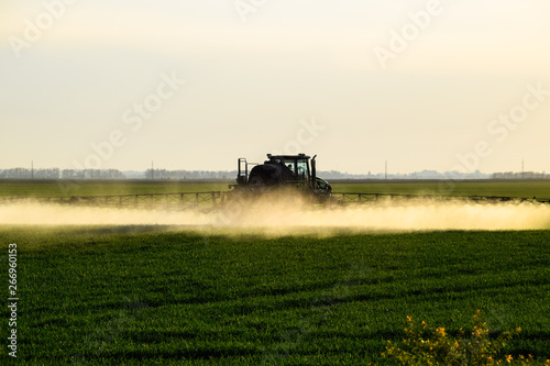 tractor with the help of a sprayer sprays liquid fertilizers on young wheat in the field.