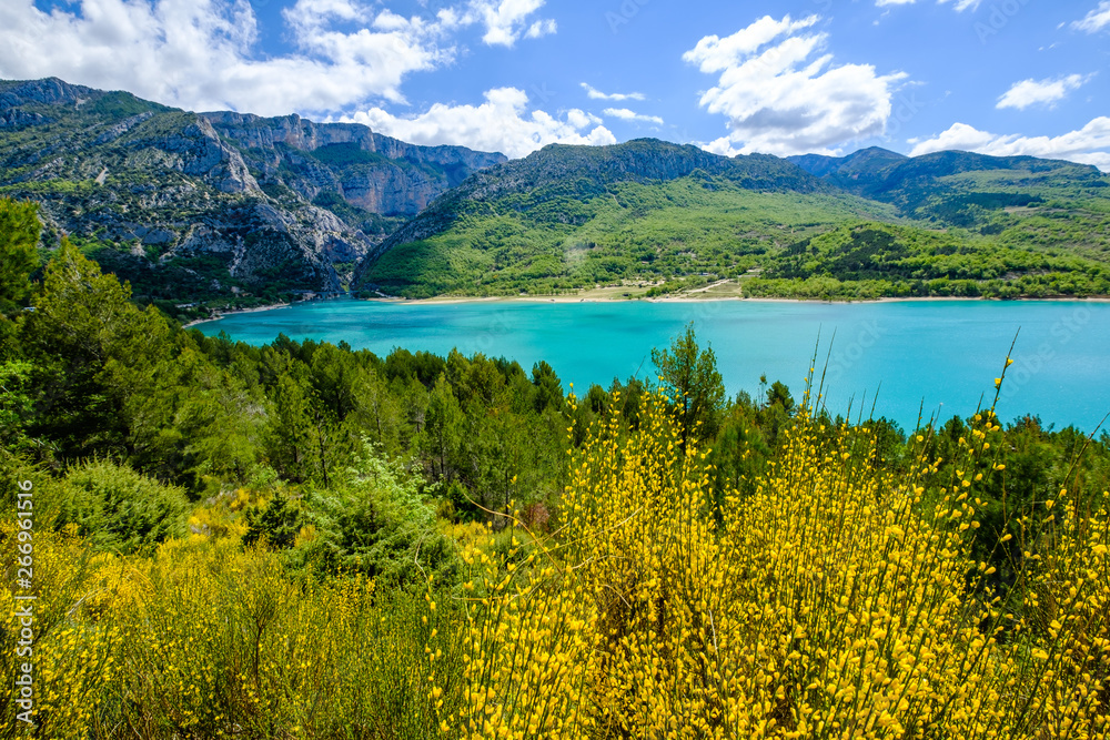 Fototapeta premium Vue panoramique sur le lac de Sainte-Croix au printemps, ciel bleu avec de beaux nuages, fleur de genêt au premier plan. Provence, France. Gorges du Verdon. 