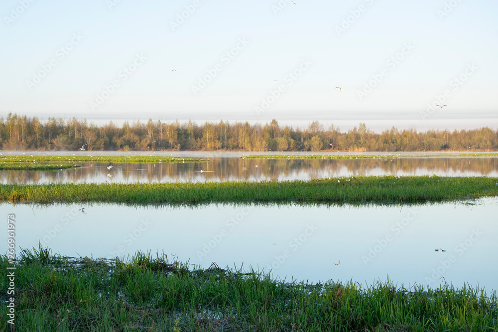Obraz premium Spring landscape