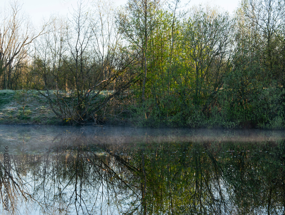Obraz premium Spring landscape