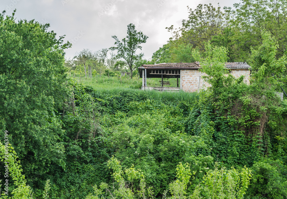 Abandoned house in a village near Novi Sad-Petrovaradin Abandoned house in a village near Novi Sad-Petrovaradin