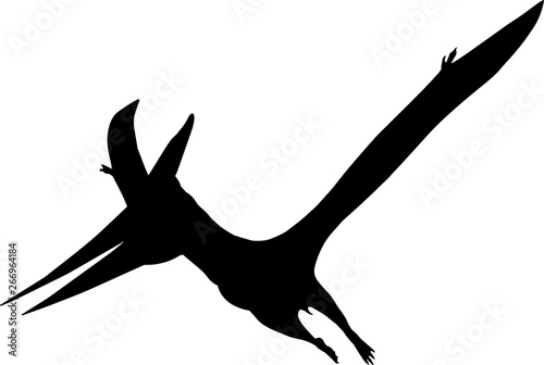 Pteranodon 9 isolated vector silhouette