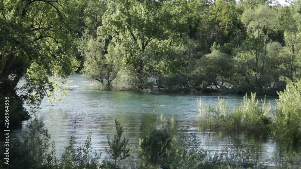 River bank with running water.Spring and summer atmosphere with green trees and flowing water. Ticino river. River bank with running water.Spring and summer atmosphere with green trees and flowing water. Ticino river.