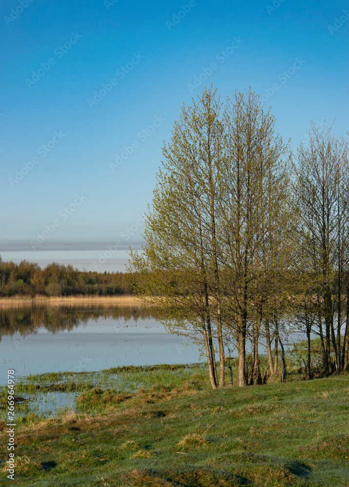Spring landscape Spring landscape