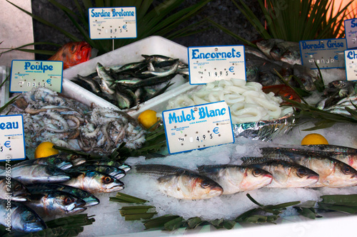 Different types of fish at the fish market in France