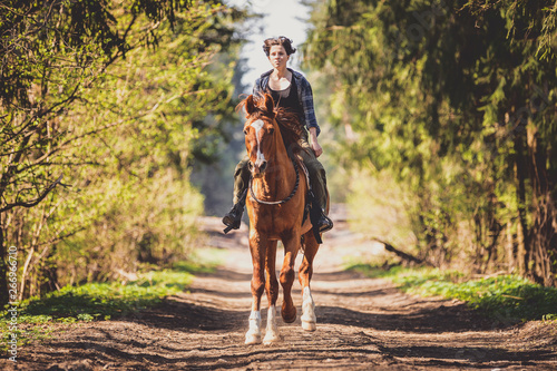 portrait of young woman and trakehner stallion in the forest