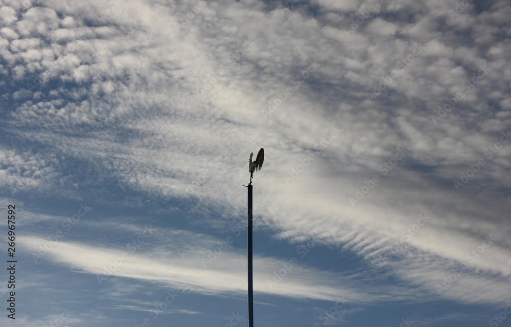 Weathercock in front of sheet like an cotton wool clouds Weathercock in front of sheet like an cotton wool clouds