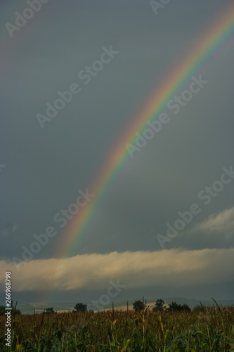 Colorful rainbow against a dark sky over a corn field in Transylvania, Romania in eastern Europe