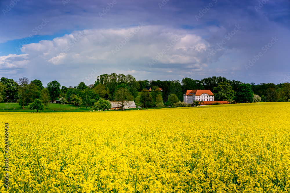 wedendorf castle in northern germany, mecklenburg - western pomerania in early summer with rapeseed field.
