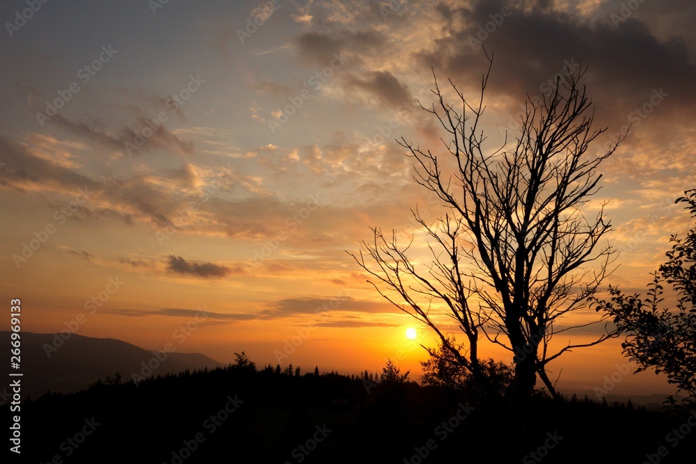 Beautiful tree silhouette during a summer sunset in Beskydy mountains, Czech republic.