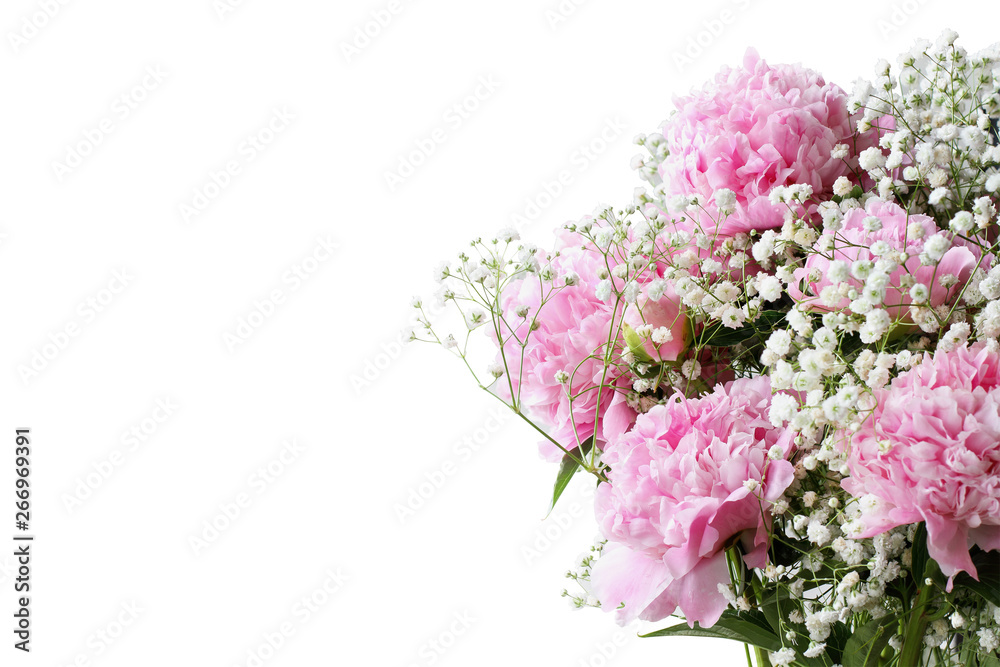 Pink flowering bouquet of Peonies and Baby's Breath flowers over a white background  with free space for your text. 