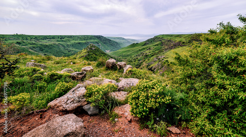 trees and flowers in the mountains in nature 3