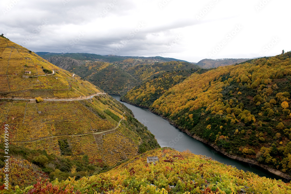 Naklejka premium Panoramic of the Sil Canyon in Galicia