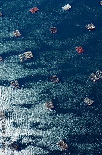 Fotografi images of mussel rafts in galicia