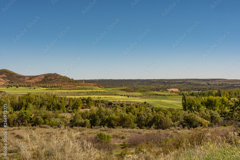 fields planted in the vicinity of the Atazar. madrid Spain.