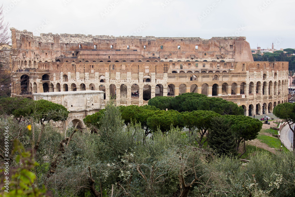 Coliseum on the background and green trees, bushes and italian pines on the foreground in the park near ancient ruins of roman city, Rome, Italy.