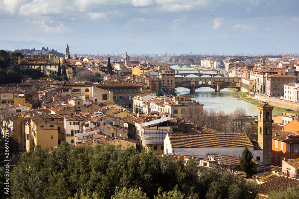 Amazing view on Florence city and its main bridges and ponte vechio over Arno. Awesome cityscape of Florence roofs, Italy. Florence from above, near observation deck. Bushes on the foreground, skyline