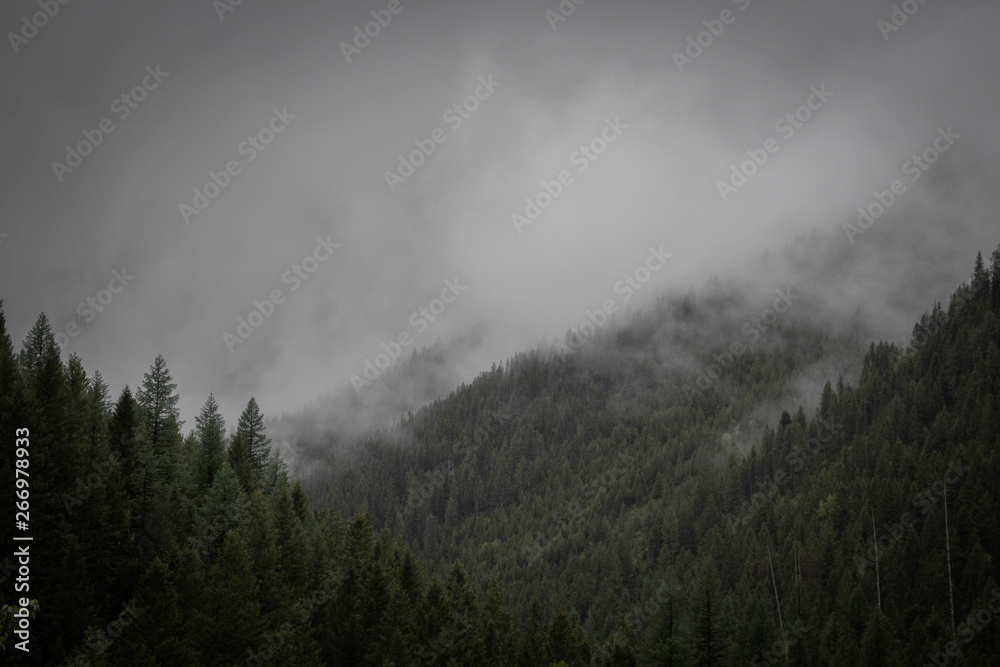 Mountain Fog Mountain Fog