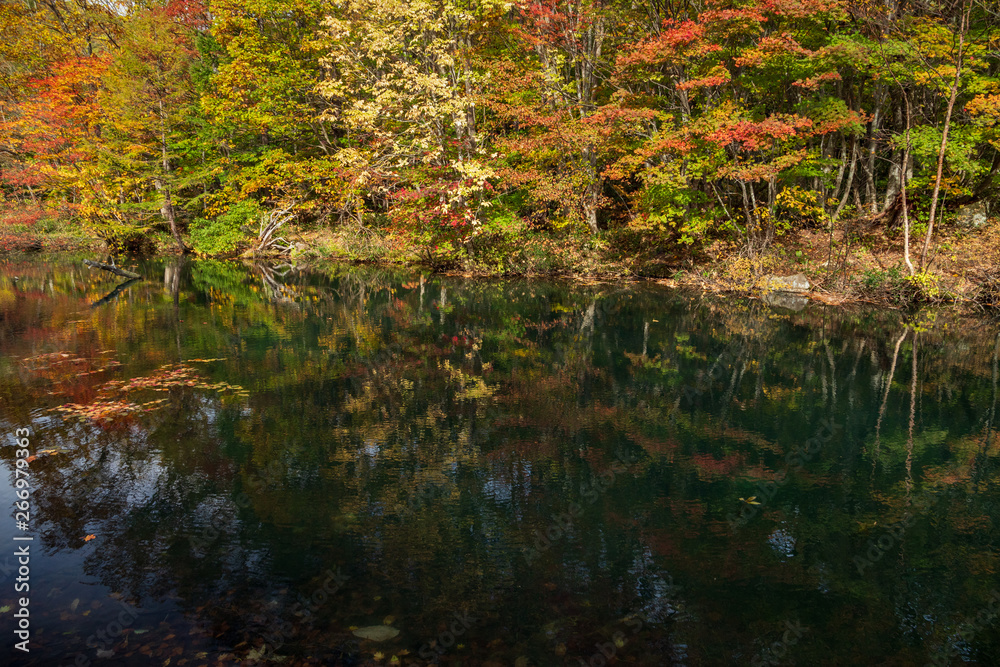 Autumn in Hachimantai, Tohoku region Autumn in Hachimantai, Tohoku region