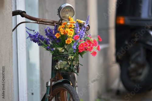 Bicicleta primaveral