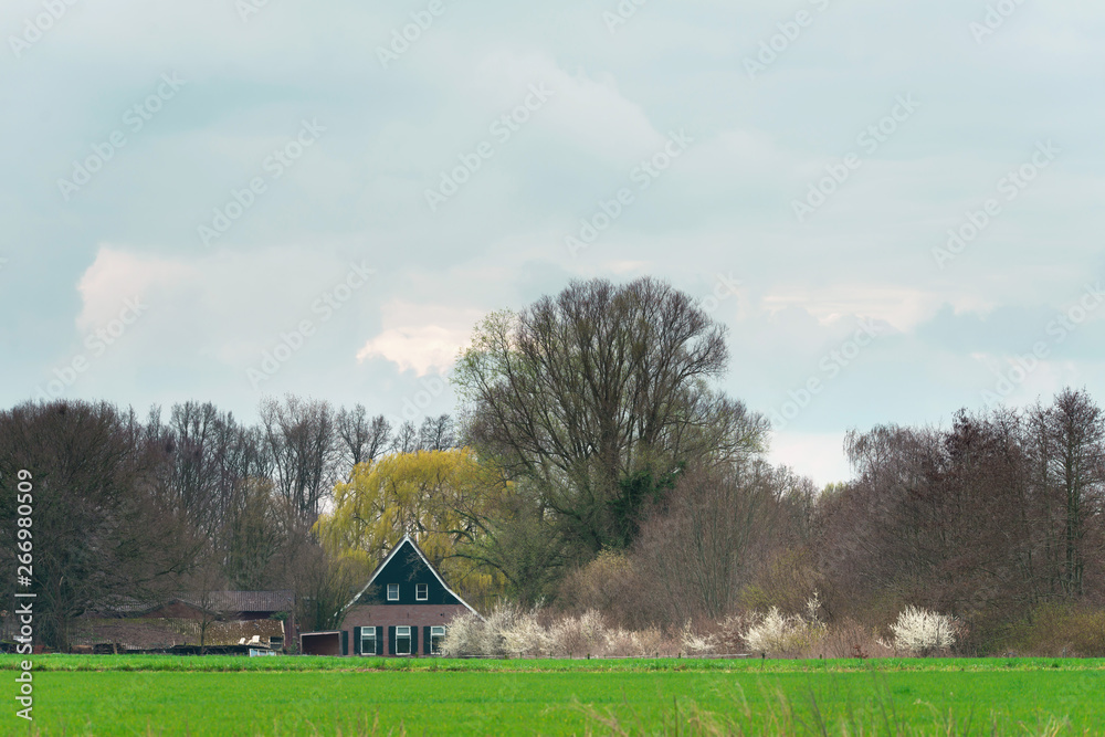 House in countryside in early spring. House in countryside in early spring.