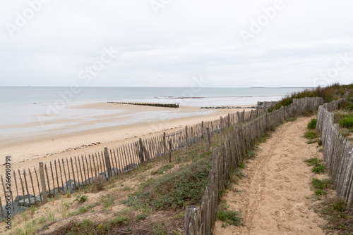 Beach Path Through Dunes in ile de re in french country island