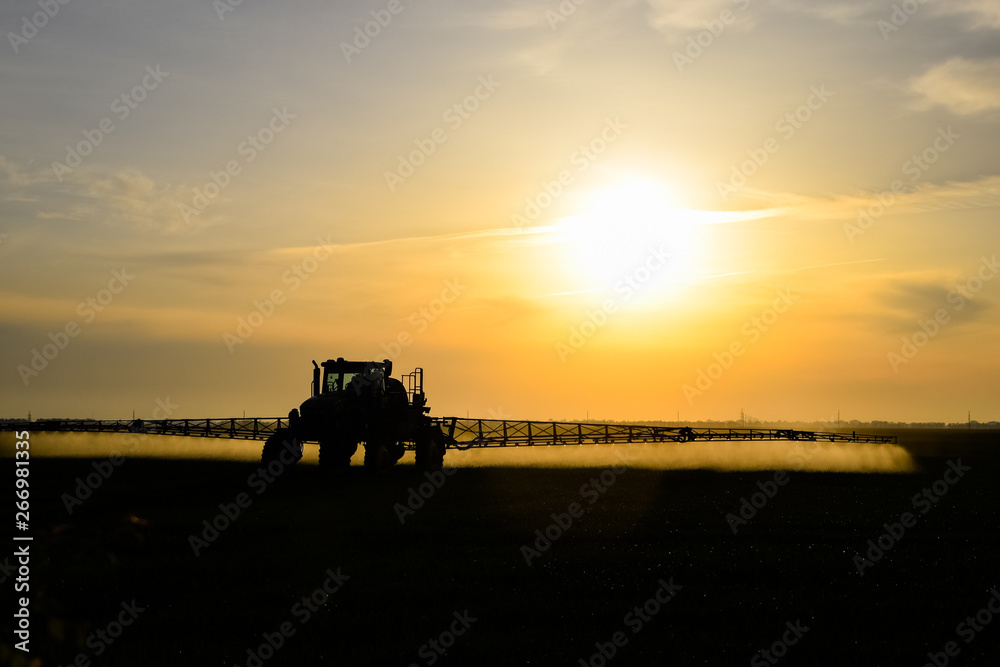 Fototapeta premium tractor with the help of a sprayer sprays liquid fertilizers on young wheat in the field.